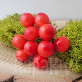 Owoce głogu 10 mm pomarańczowe 10 szt. Owoce głogu 10 mm pomarańczowe 10 szt.
